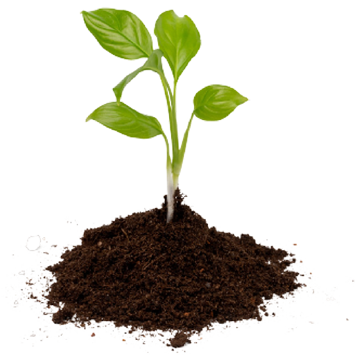 VIGOR_ai_PLANTA_NOSOTROS