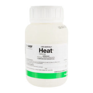 Heat