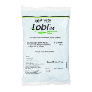 Lobi 44