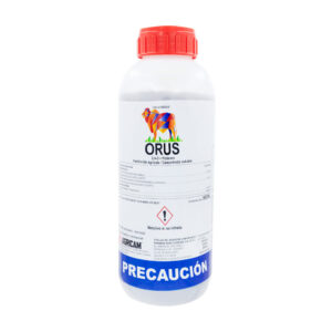 Orus