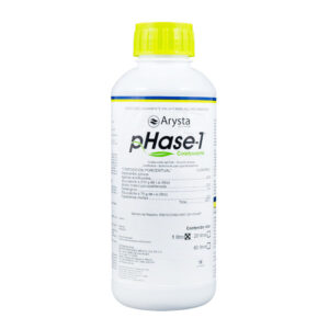 Phase-1