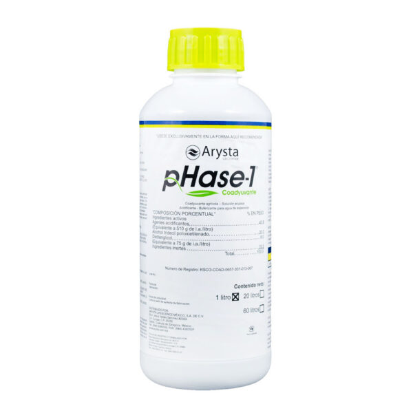 Phase-1