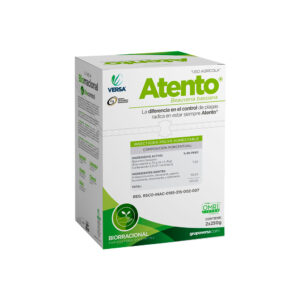 Atento