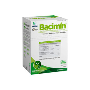 Bacimín