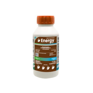 Energy