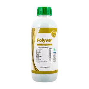 Folyver