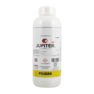 Jupiter 40