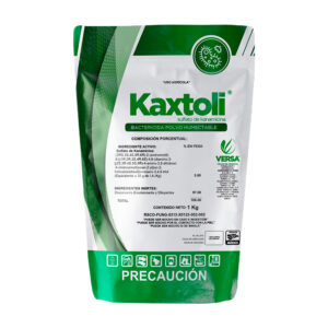 Kaxtoli