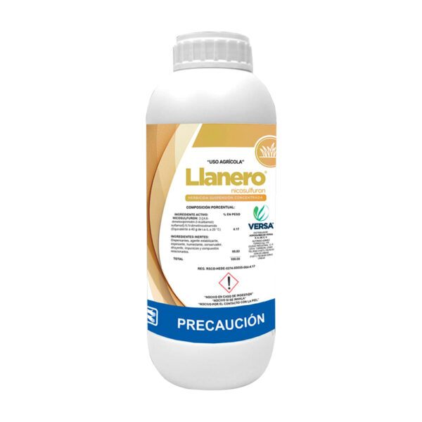 Llanero