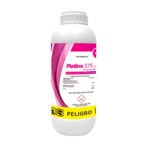 Platino 375 CE