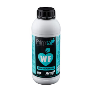 Primtal WF