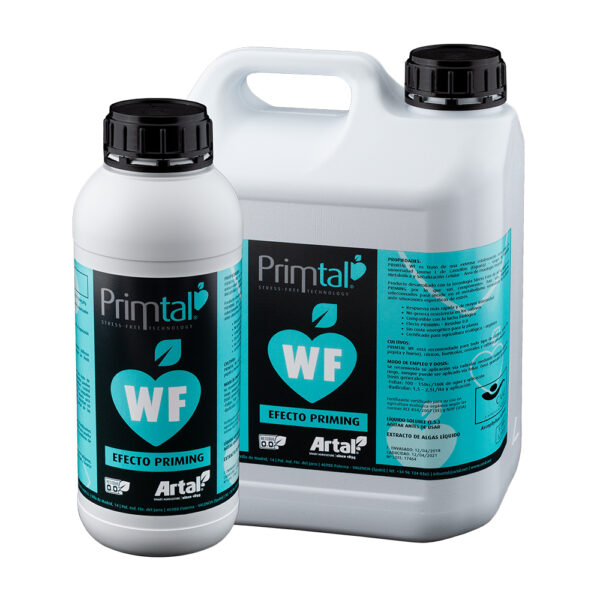 Primtal WF - Imagen 3
