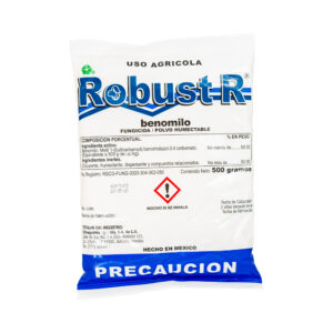 Robust R