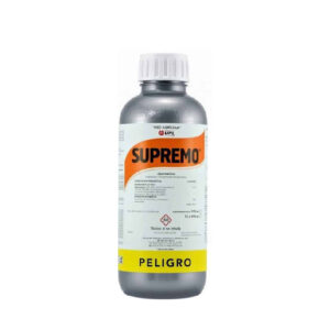 Supremo