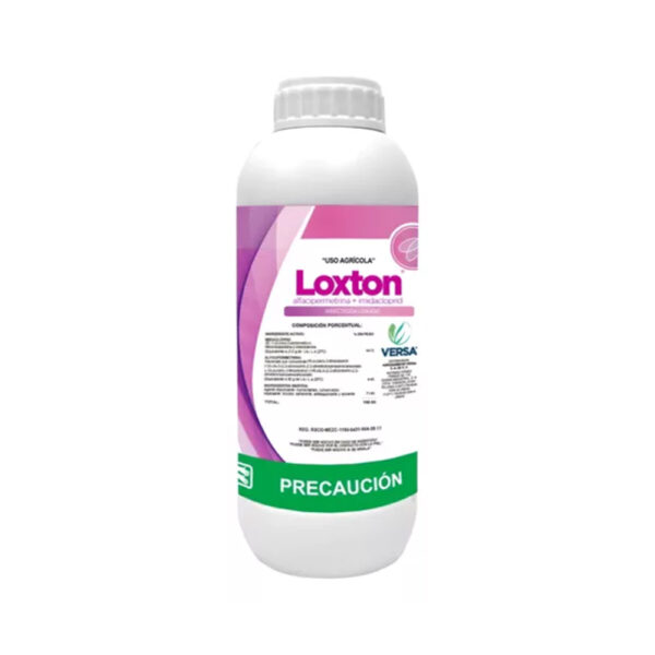Loxton