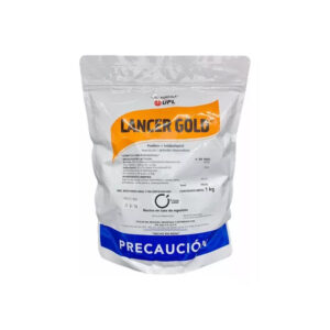 Lancer Gold