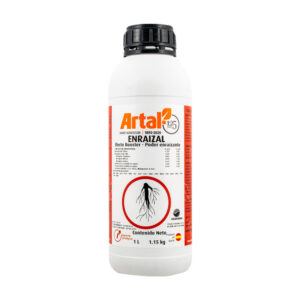 Enraizal