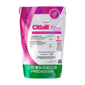 Citlalli 70 WG