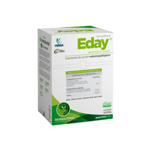 Eday