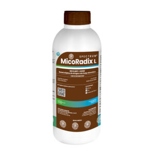 MicoRadix L