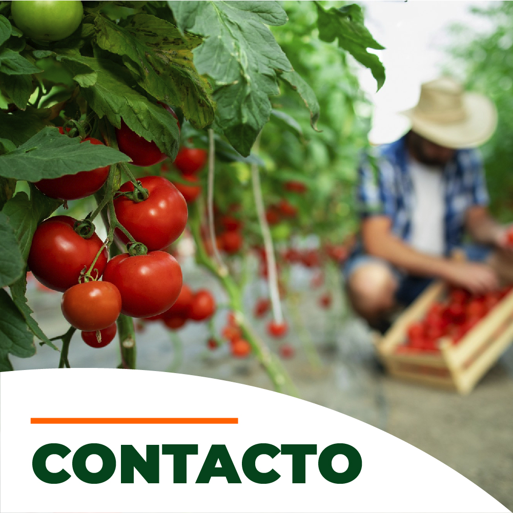 CONTACTO 3 MÓVIL-100