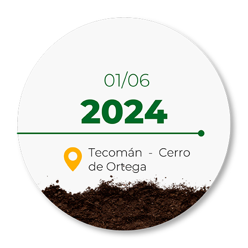 VIGOR_ai_TECOMAN CERRO