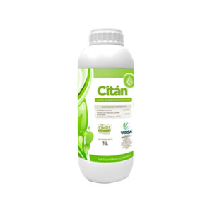 Citán
