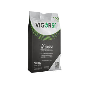 Vigorsi