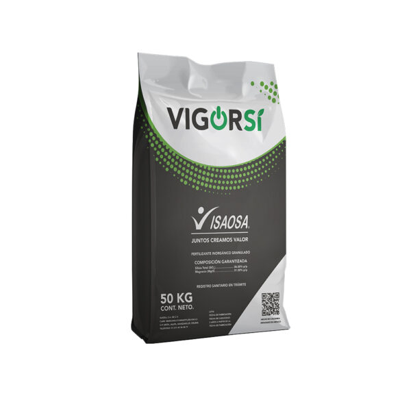 Vigorsi