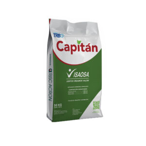 Capitán