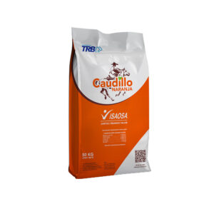 Caudillo Naranja