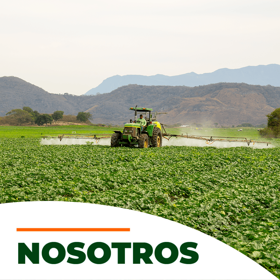 FERTILIZANTES VIGOR movil nosotros